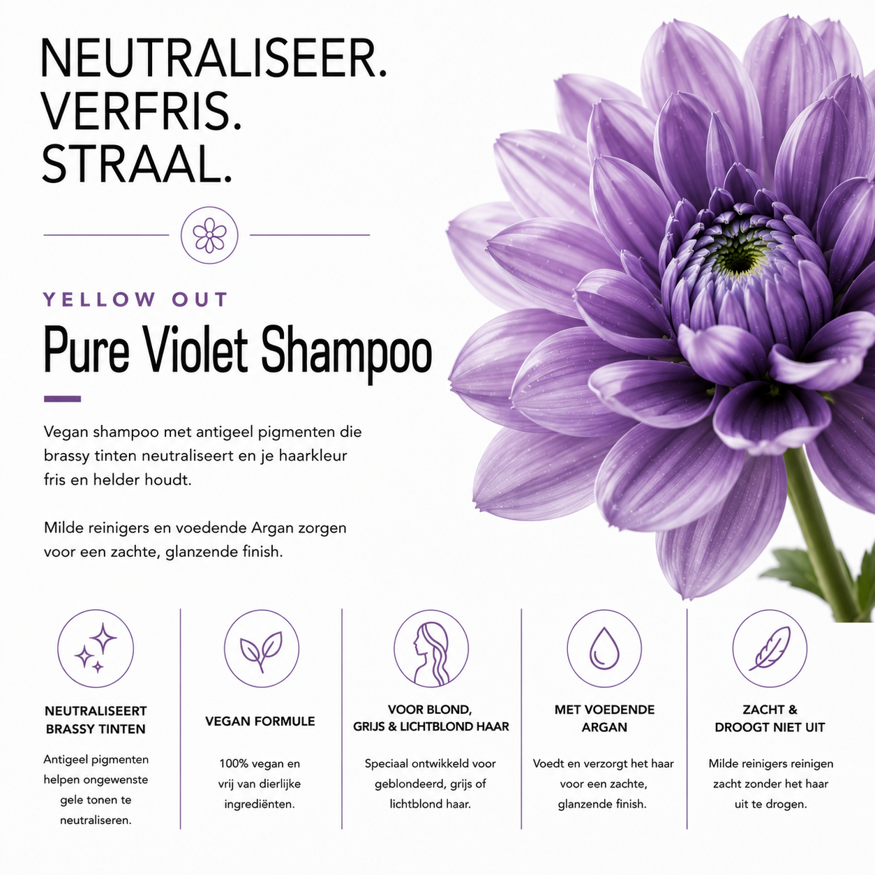 Pure Violet Shampoo