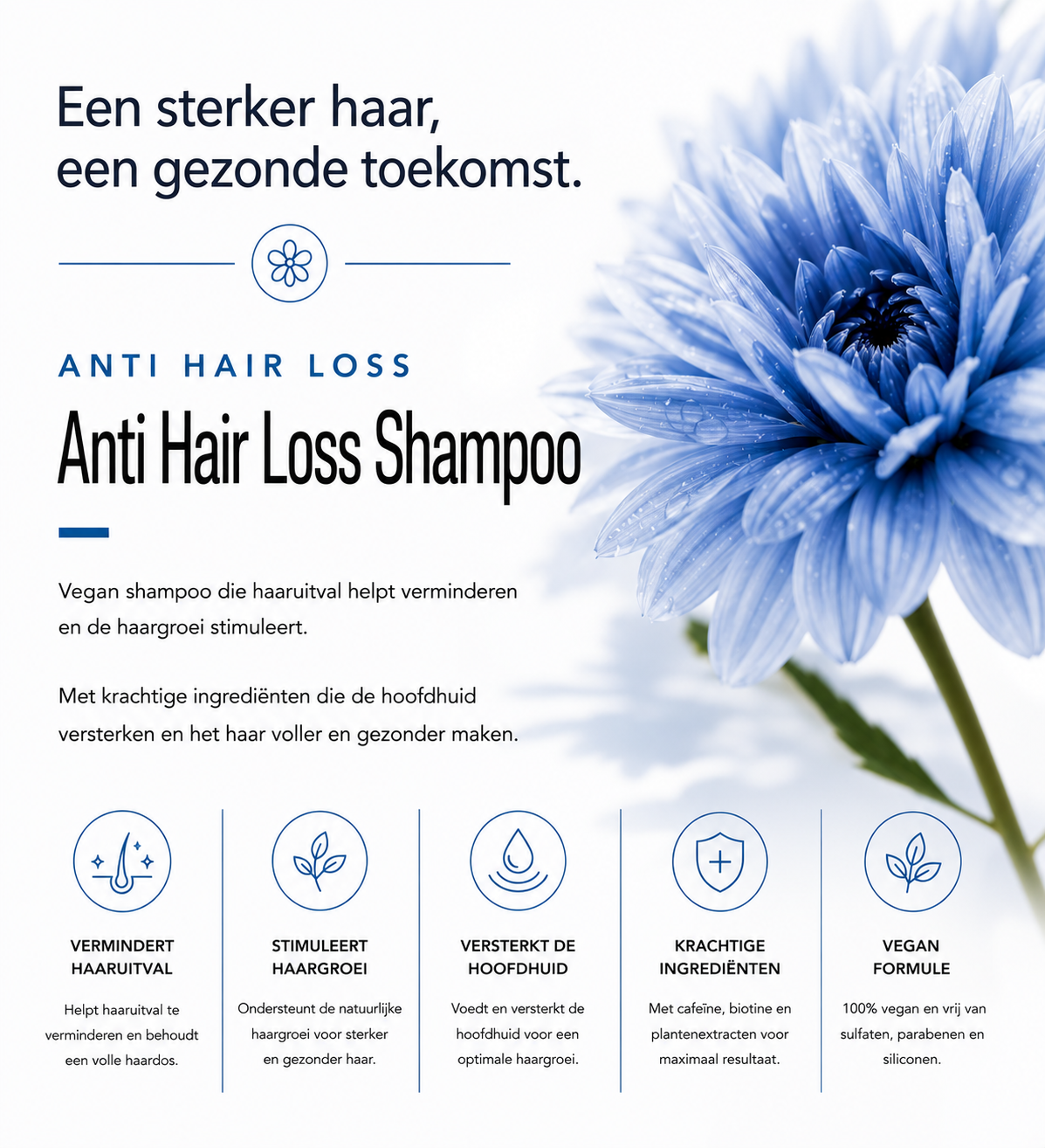 Anti-Hair Loss Shampoo