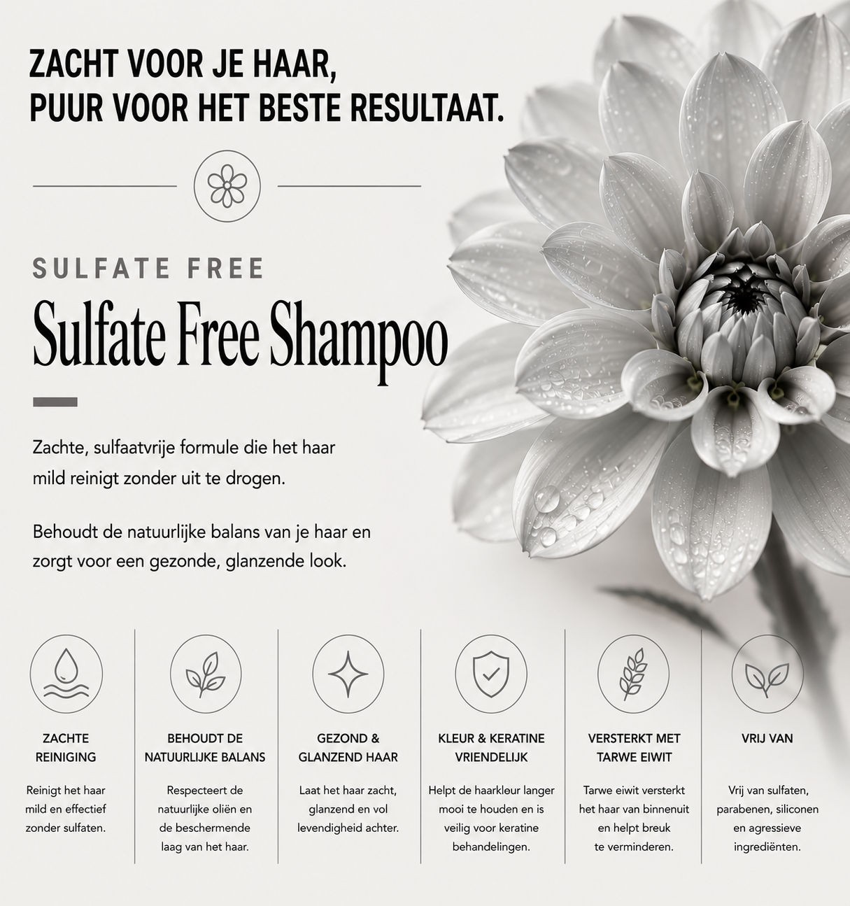 Sulfate-Free Shampoo