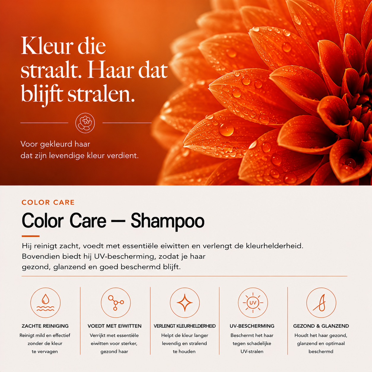 Color Locking Shampoo