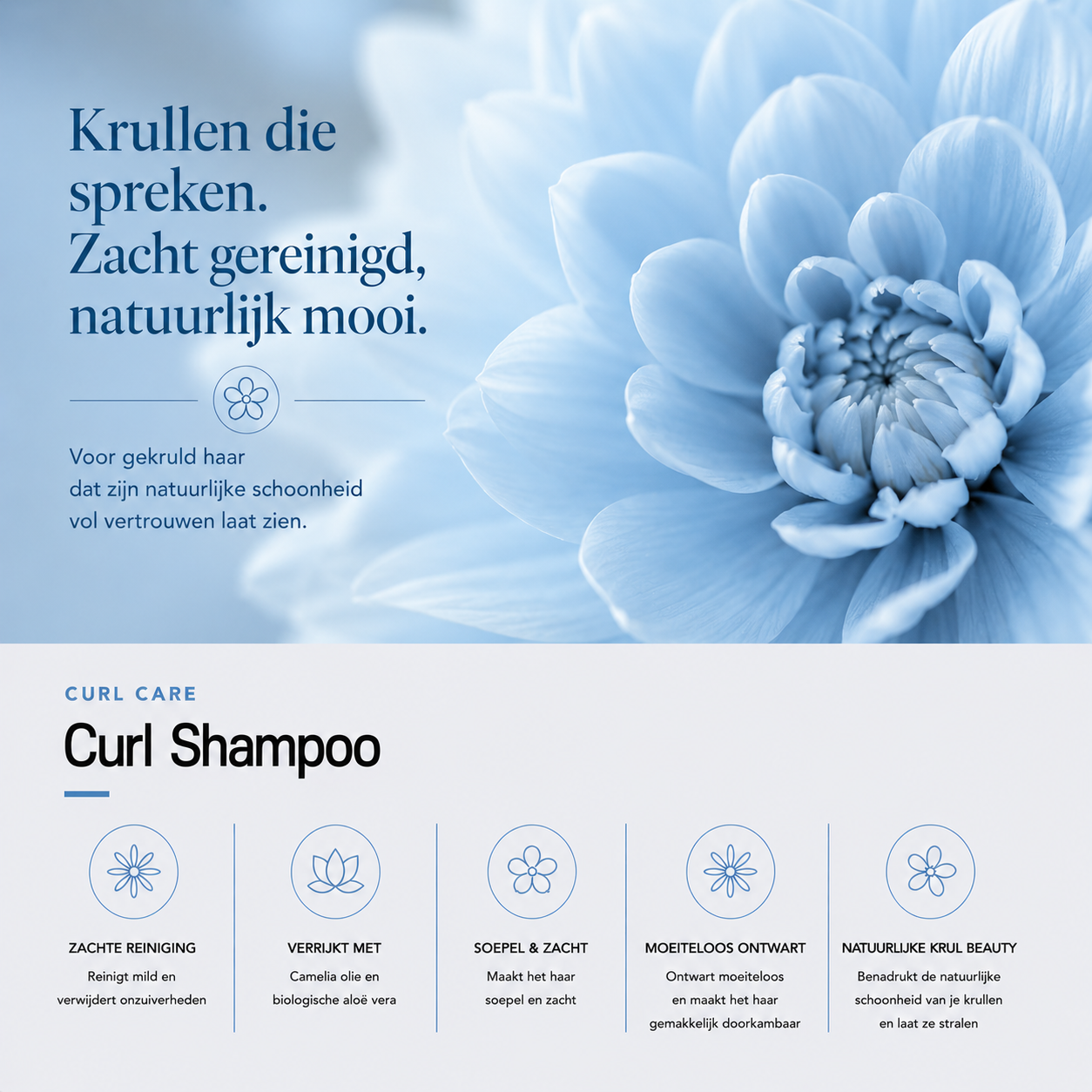 Curl Defining Shampoo