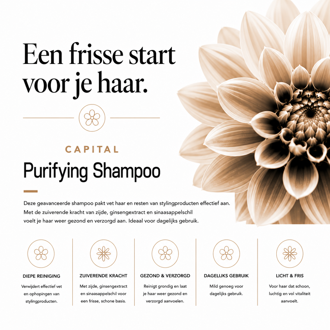 Capital Purifying Shampoo